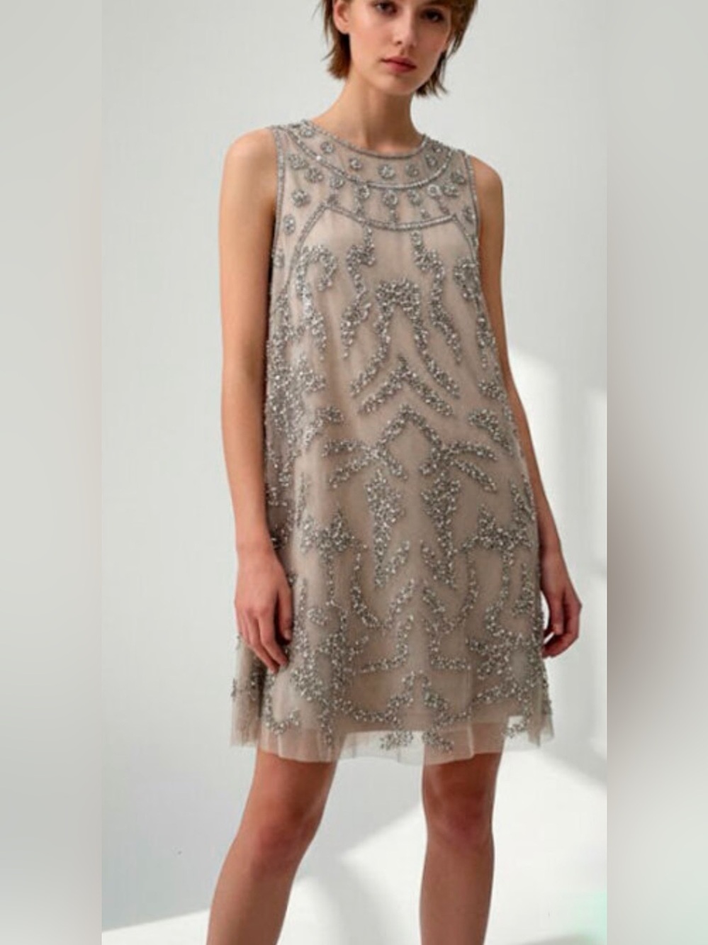 Embellished Taupe Sleeveless Shift Dress - Picture 1 of 13